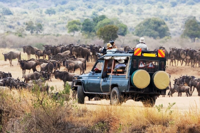 DaysKenyaWildlifesafari